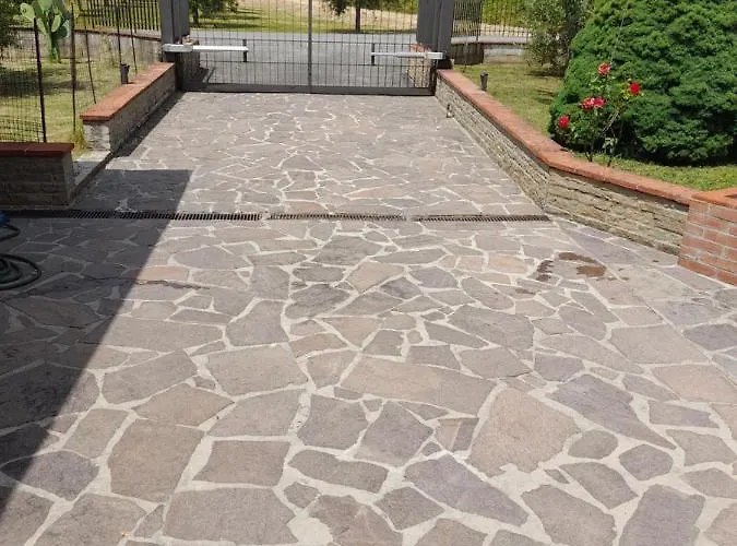 Casa Camelia * كابانّوري