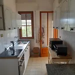 Casa Camelia *