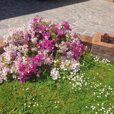 度假居 Casa Camelia