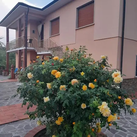 Casa Camelia Capannori